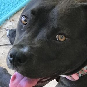 Meet your Posher, Hollyg2b